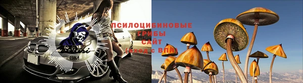 твердый Горно-Алтайск