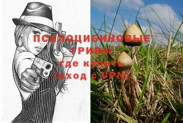 крисы Верхний Тагил