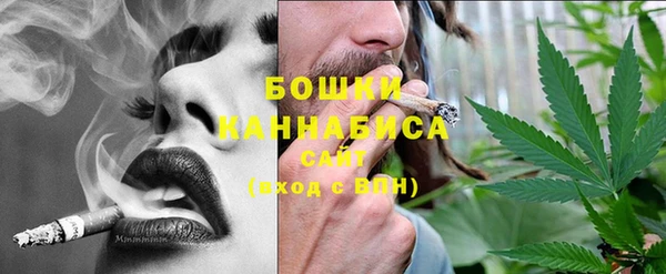 крисы Верхний Тагил