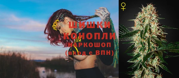 крисы Верхний Тагил