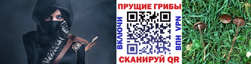 Псилоцибиновые грибы ЛСД  Ростов 